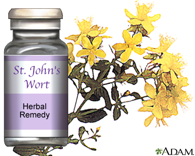ST. JOHN'S WORT: Uses, Side Effects,.